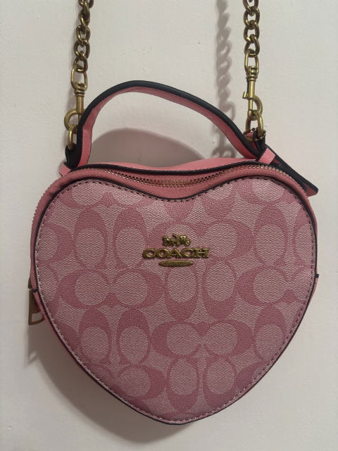 Bolsa de corazón rosa