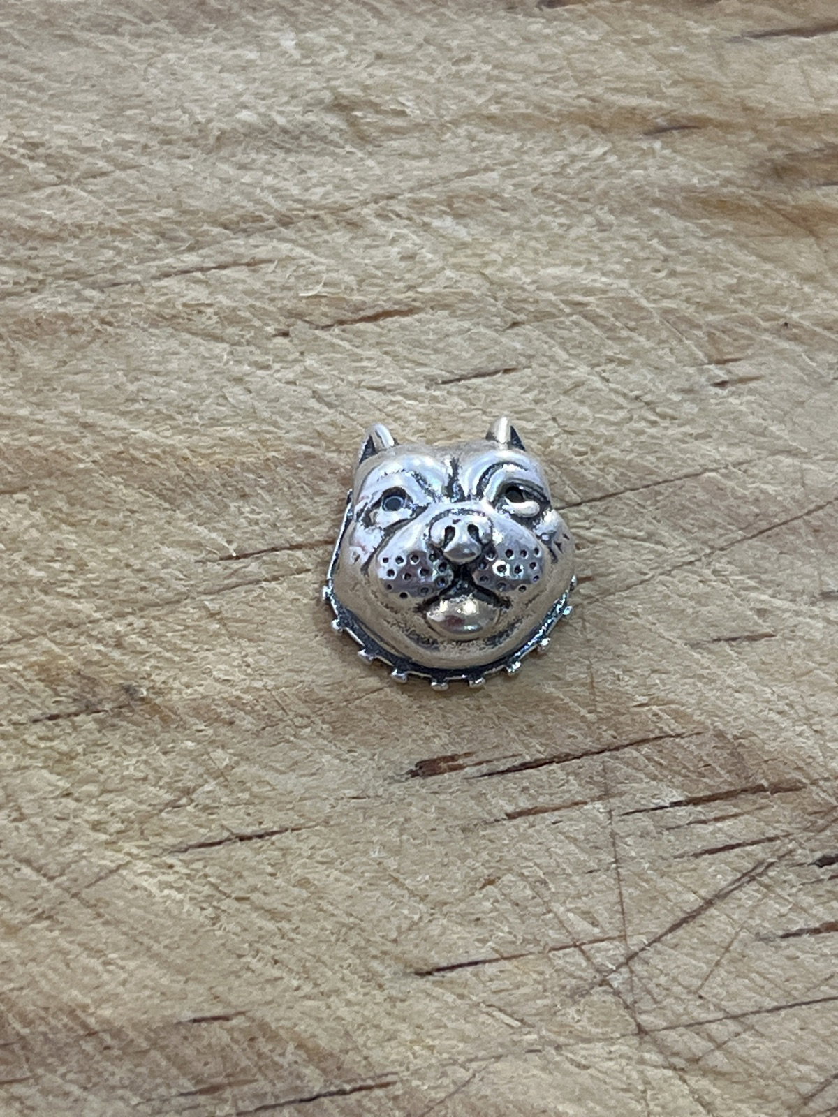 Charm de perrito Pit Bull en plata 925