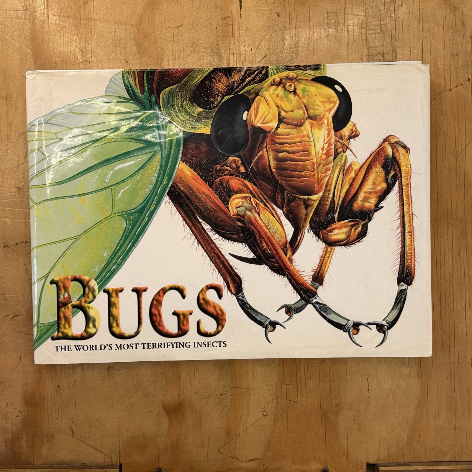 Libro 'Bugs': Insectos Terribles del Mundo