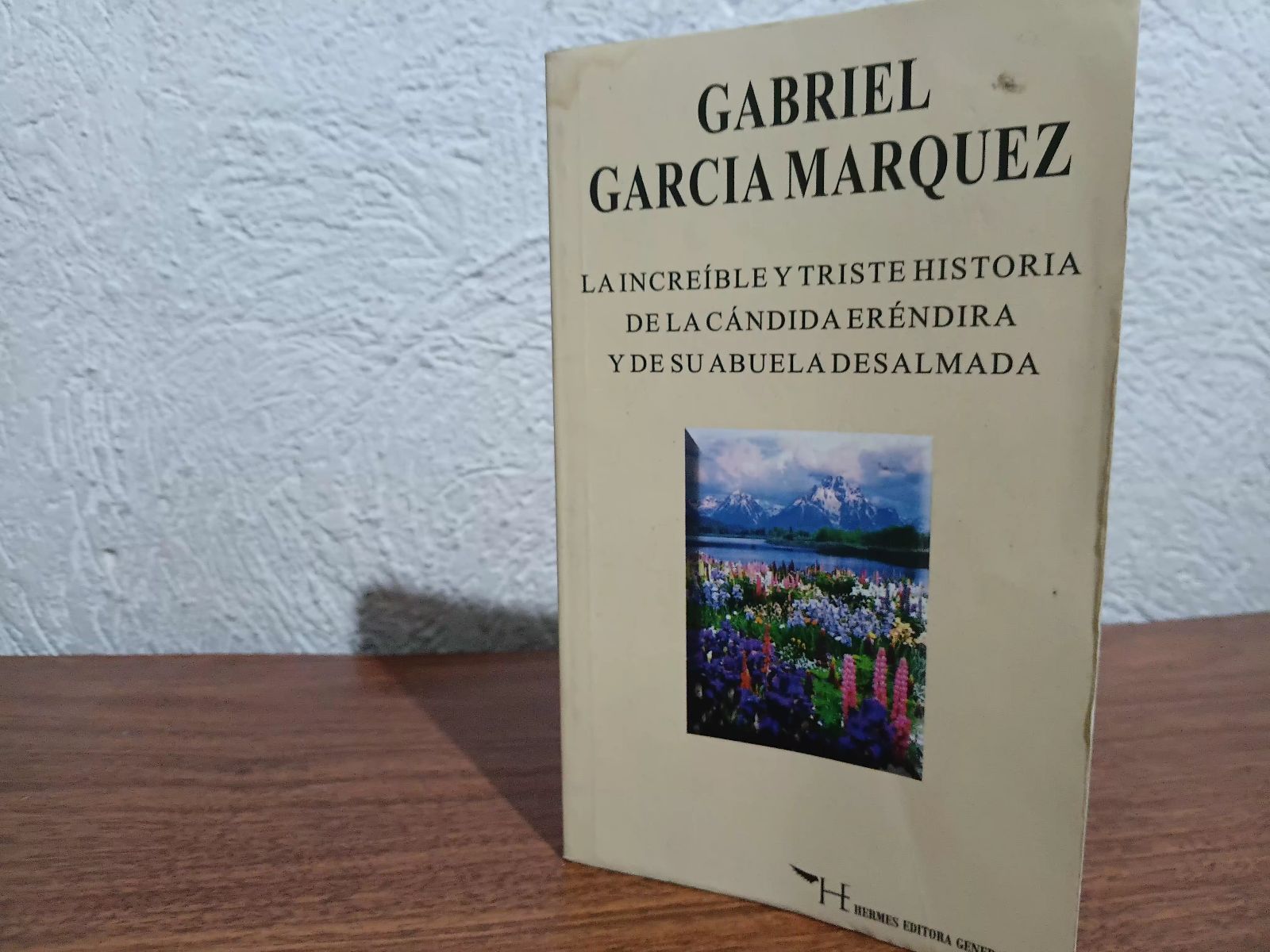 La increíble y triste historia de la Cándida réndira