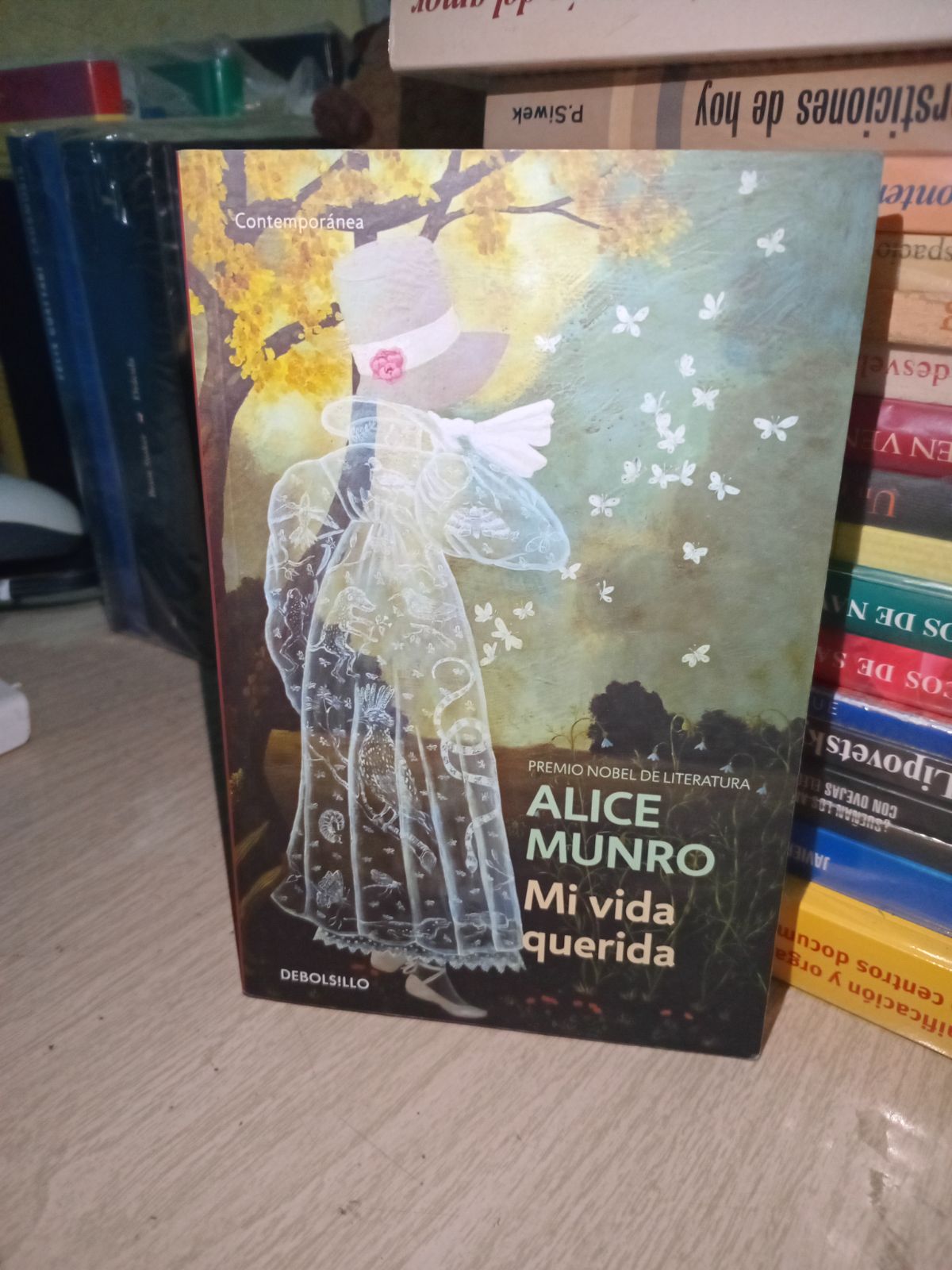 Mi vida querida - Alice Munro
