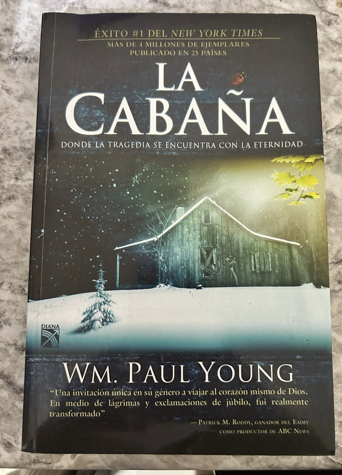 La Cabaña - Wm. Paul Young