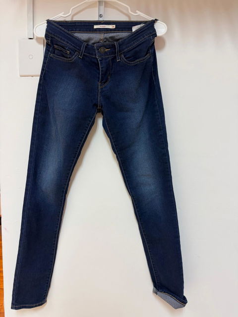 Jean Levi's Dama