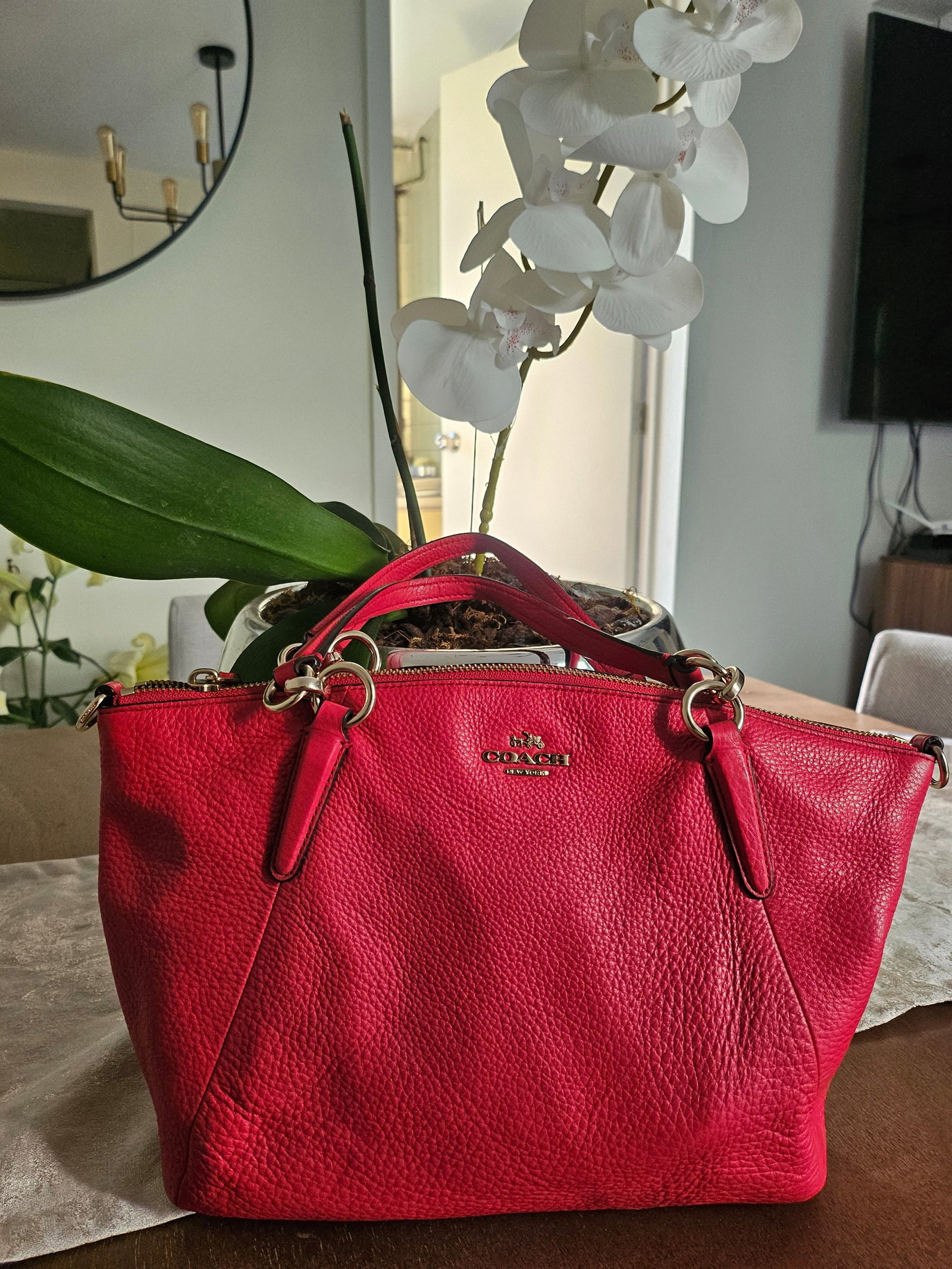 Bolso Coach de Piel Rosa Fucsia en Buen Estado