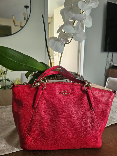 Bolso Coach de Piel Rosa Fucsia en Buen Estado