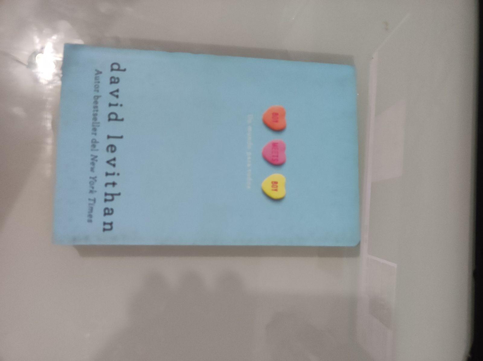 Libro 'Boy Meets Boy' de David Levithan