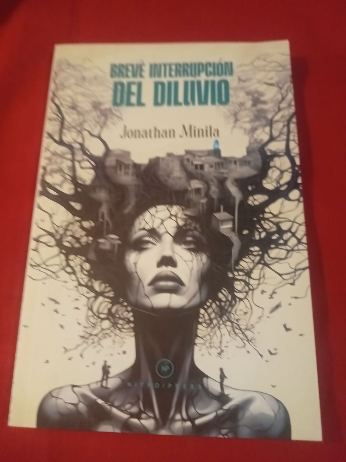 Breve interrupción del diluvio - Jonathan Minila