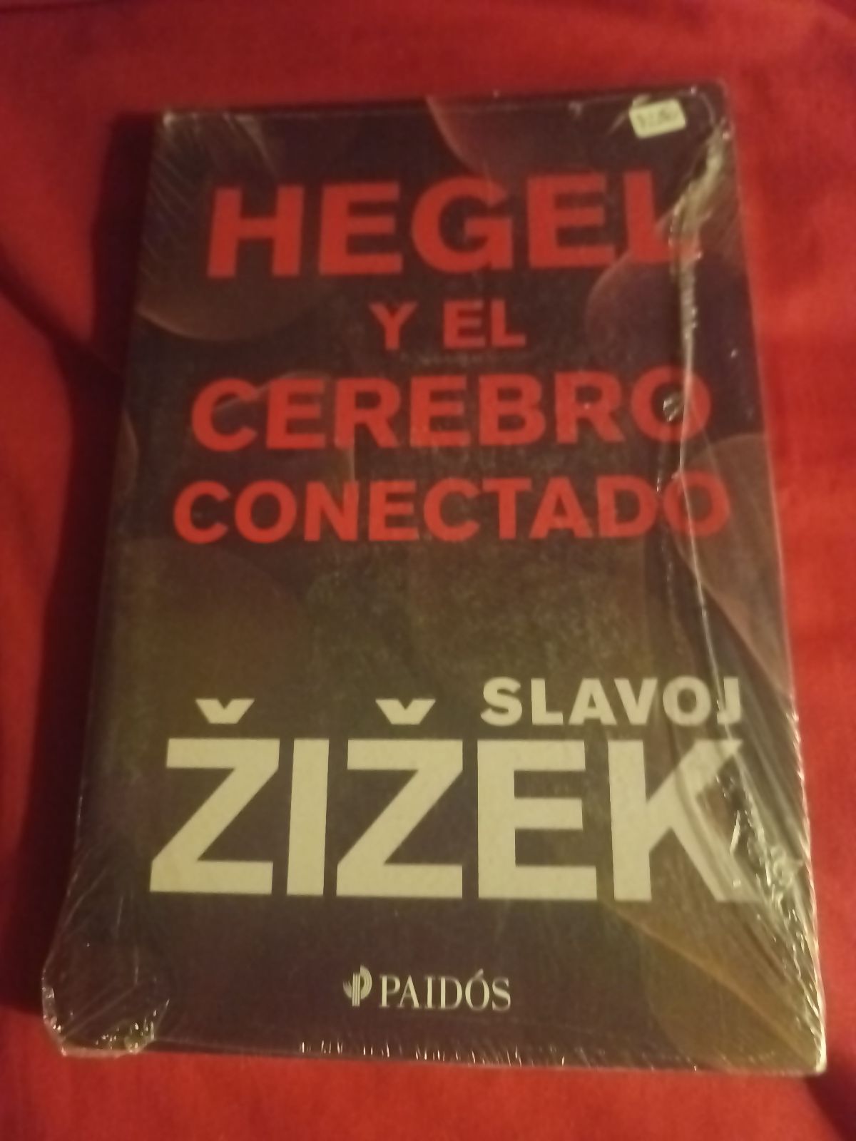 Libro: Hegel y el cerebro conectado de Slavoj Žižek