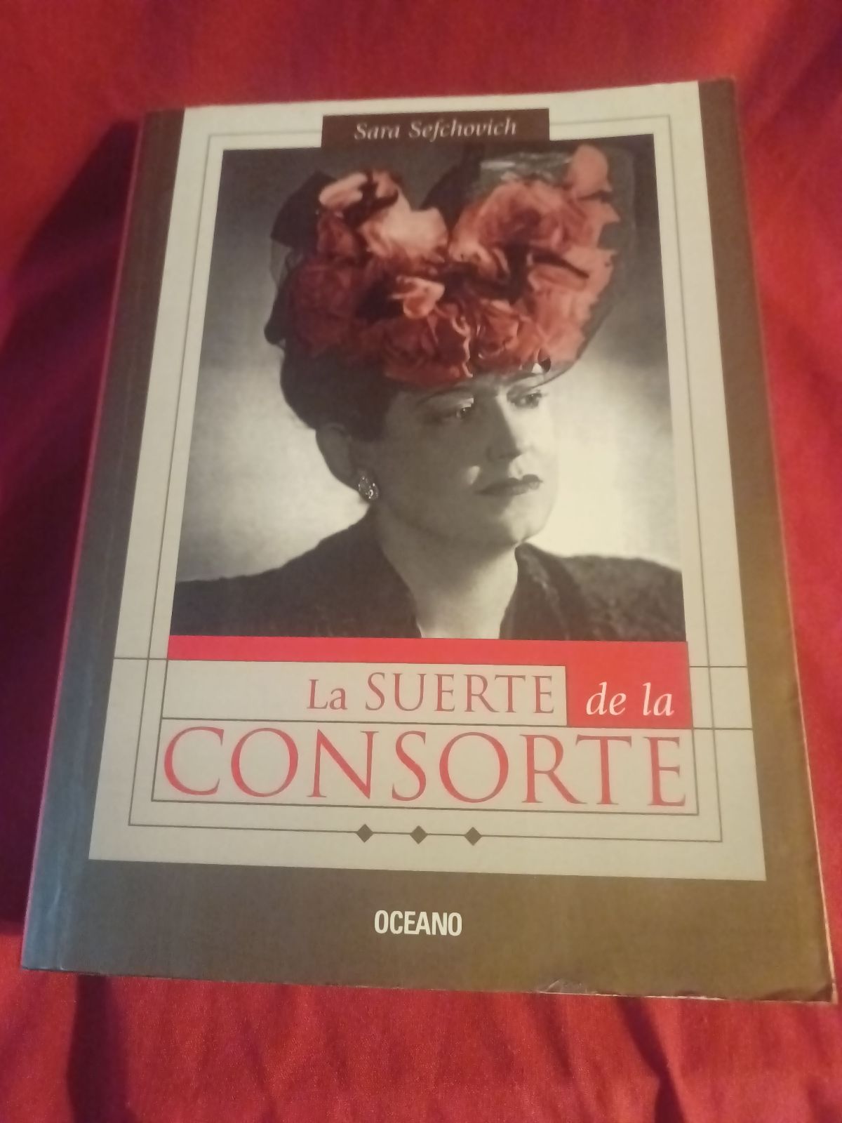 La suerte de la consorte - Sara Sefchovich
