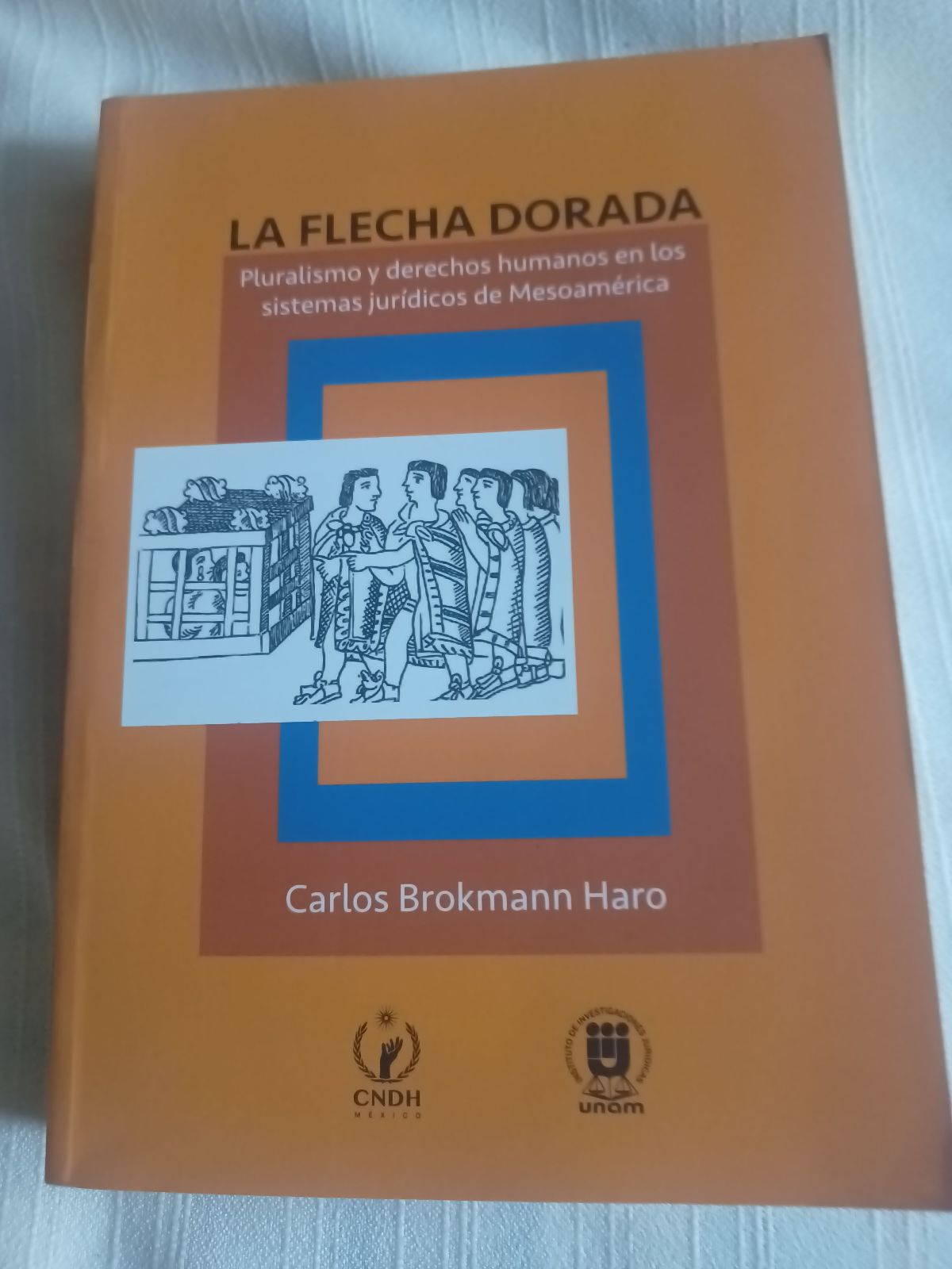 La flecha dorada - Pluralismo y derechos humanos en Mesoamérica