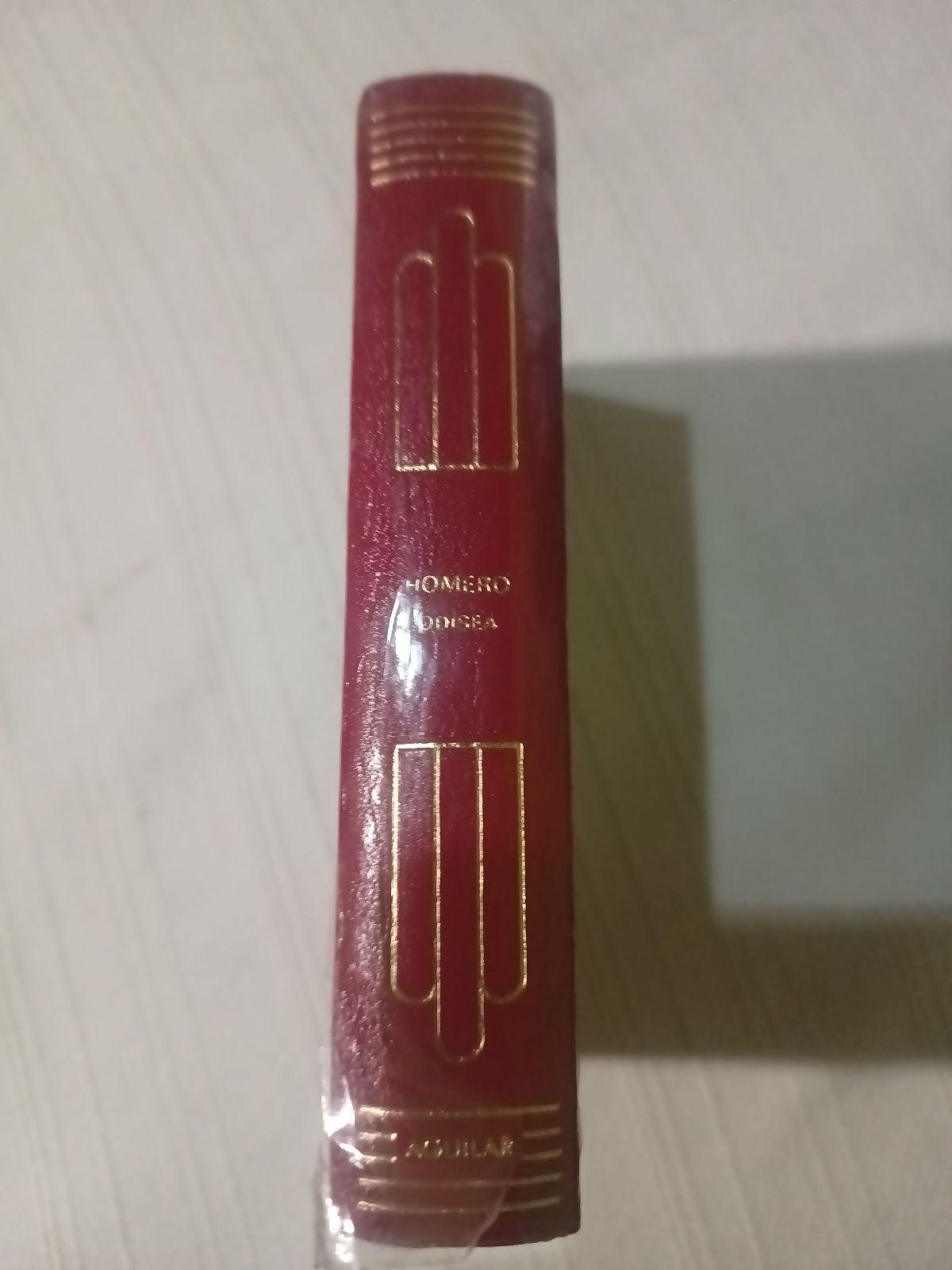 Homero - La Odisea, edición de lujo