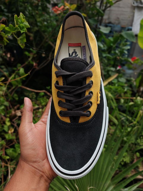 Tenis Vans Skate Authentic Nuevos numero 26