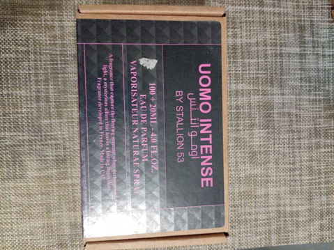 Perfume Uomo Intense 100ml de Stallion 53