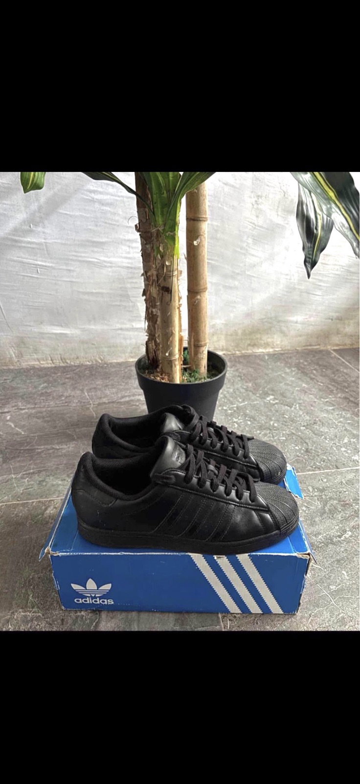 Tenis Adidas Superstar en excelente estado
