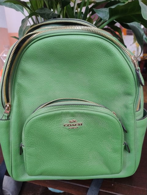Mochila de piel Coach verde, nueva