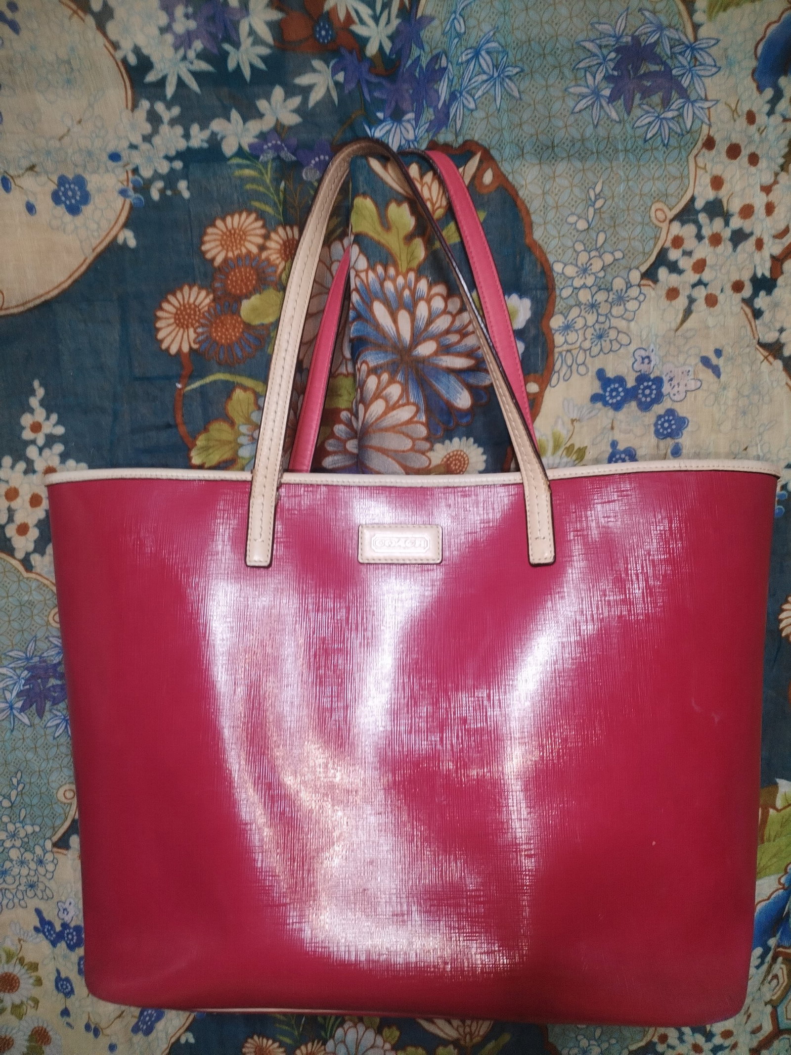 Bolsa coach 