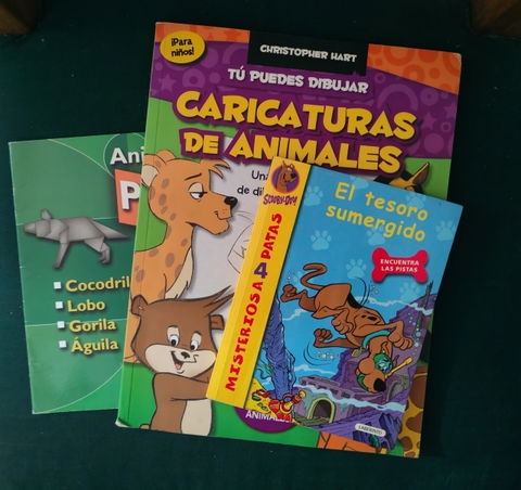 Lote de 3 Libros Infantiles con Actividades