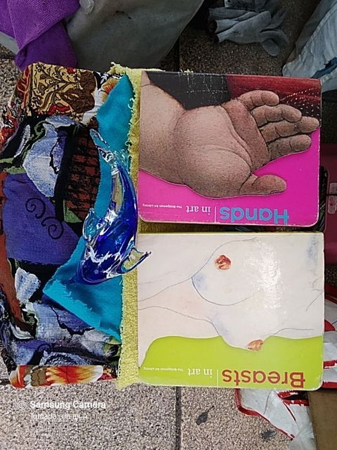 BoOK's OF ART.