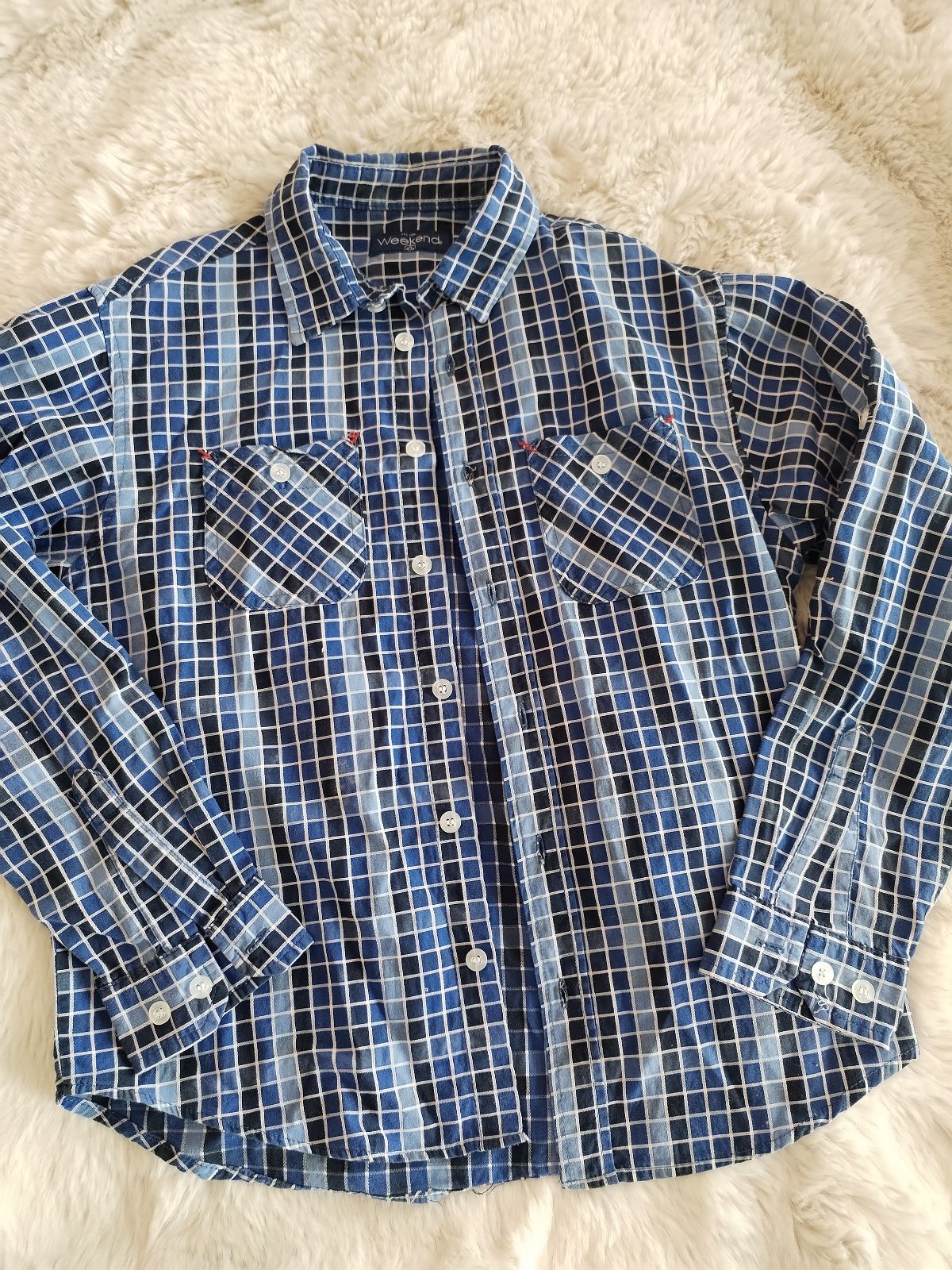 Camisa de cuadros azul y blanca de la marca Weekend
