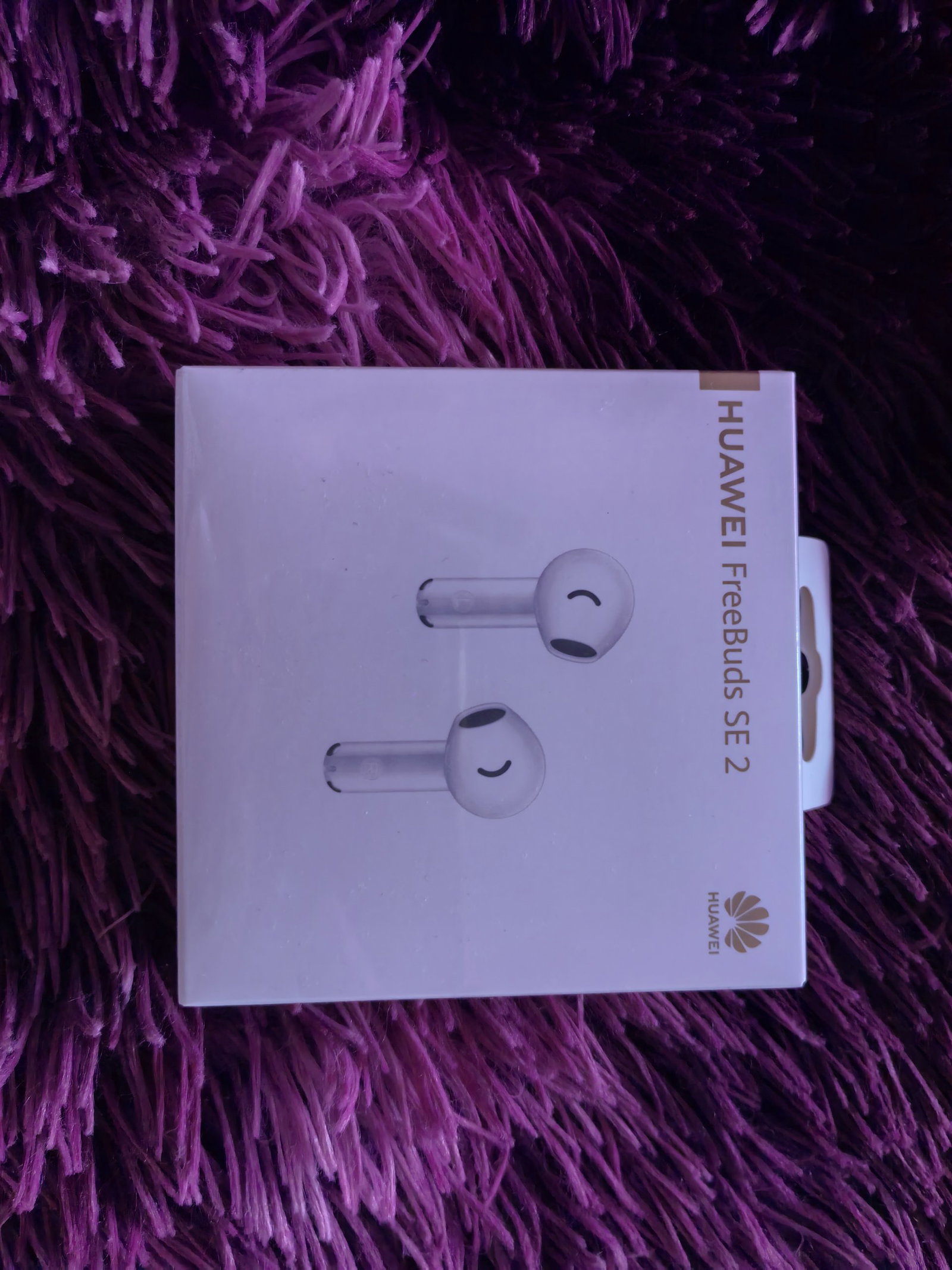 Freebuds SE2