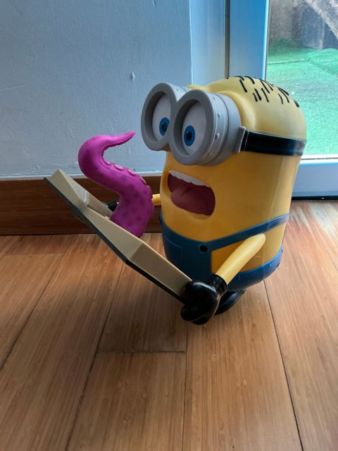 Palomera de Minions