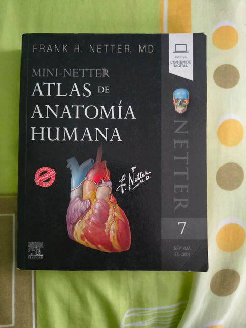 Mini-Netter Atlas de Anatomía Humana - Séptima Edición
