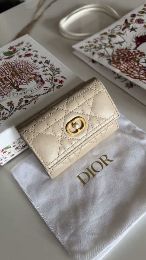 Cartera Christian Dior