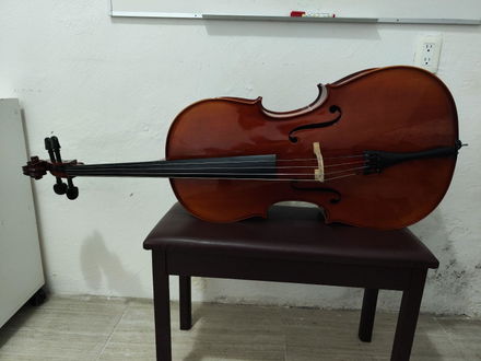 Violonchelo Pearl River