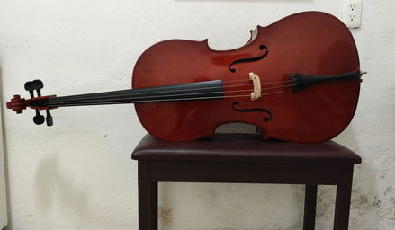 Violonchelo Skylark Brand