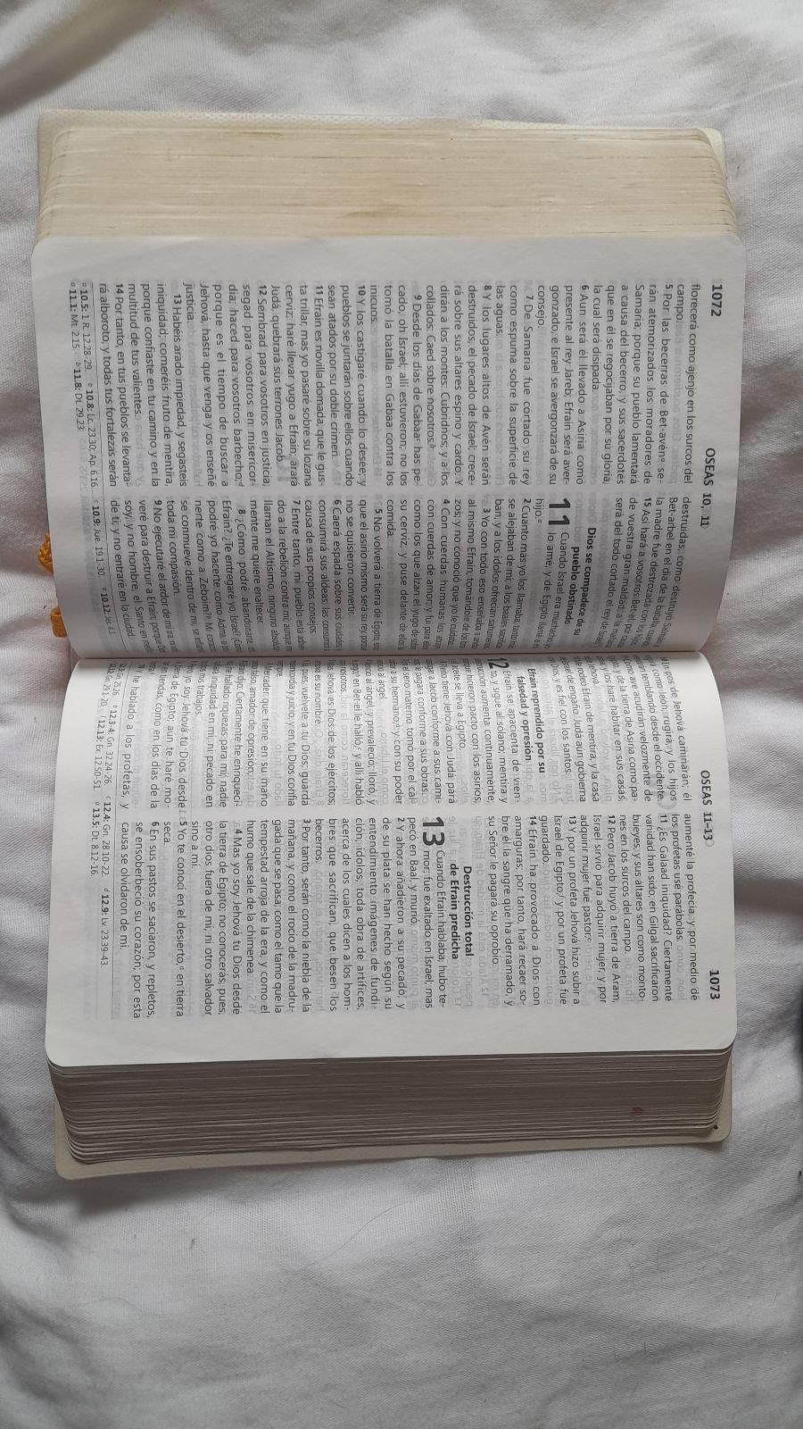 Biblia rosa cristiana con páginas doradas