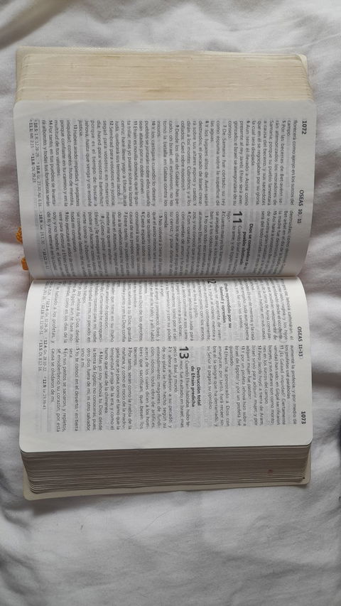 Biblia rosa cristiana con páginas doradas