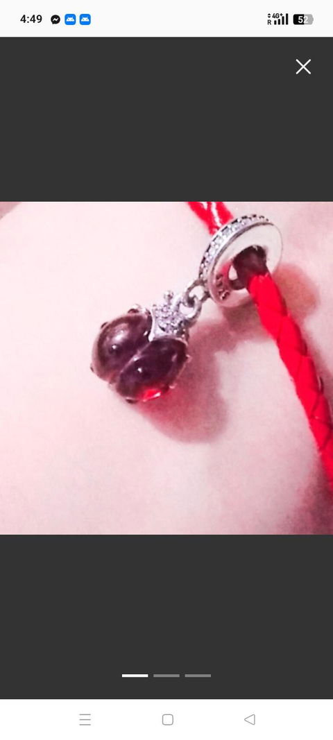 Hermoso Charm de catarina
